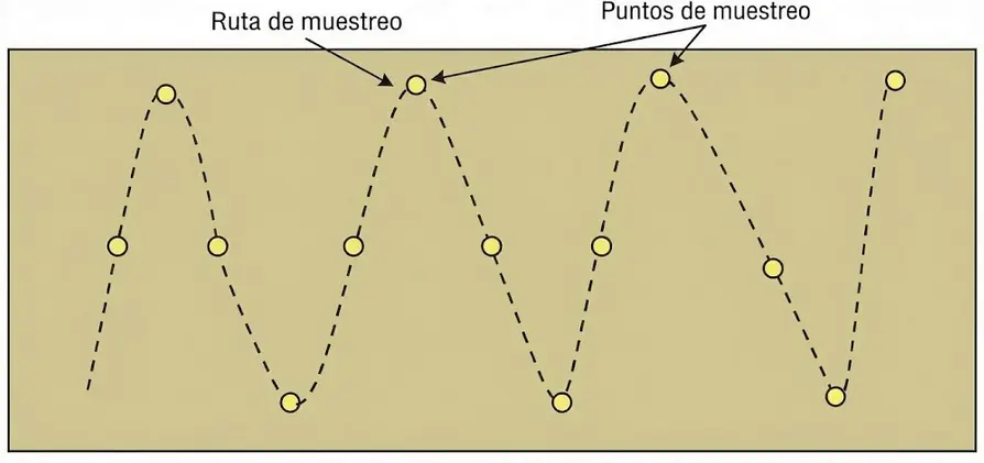 Ruta de muestreo en zigzag a través de la parcela